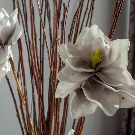 F57 - Franko Csaladi Panzio 4* בלטונללה